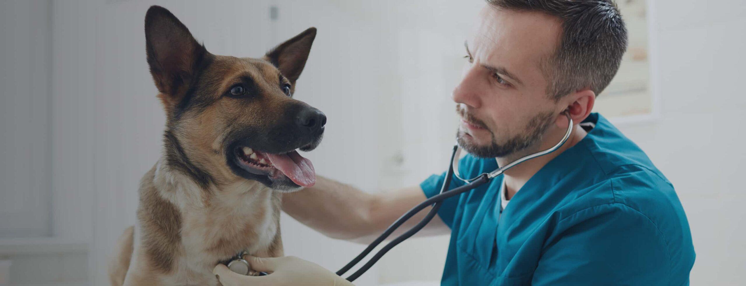 Wellness Care
